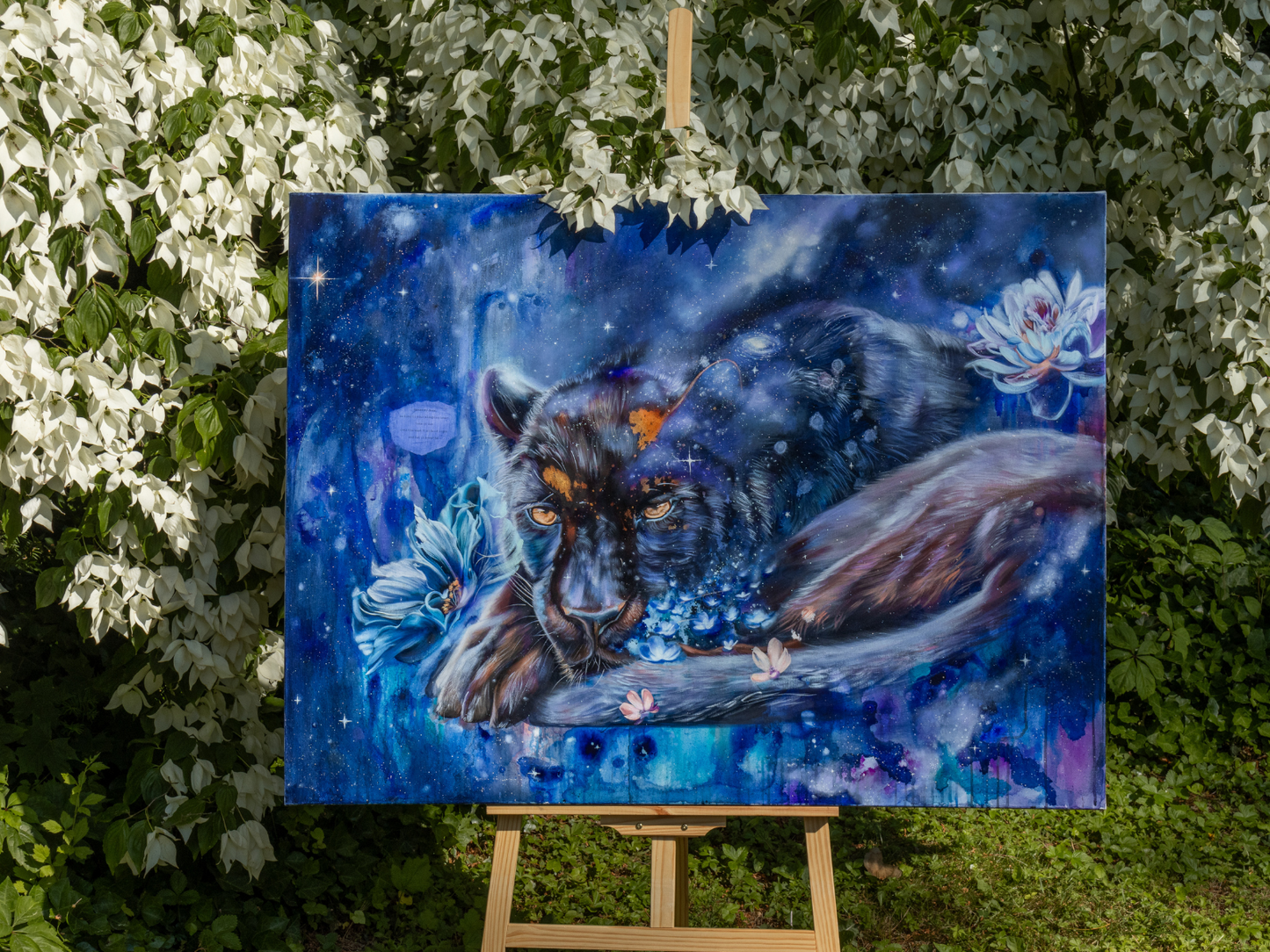 Keeper Of Constellations