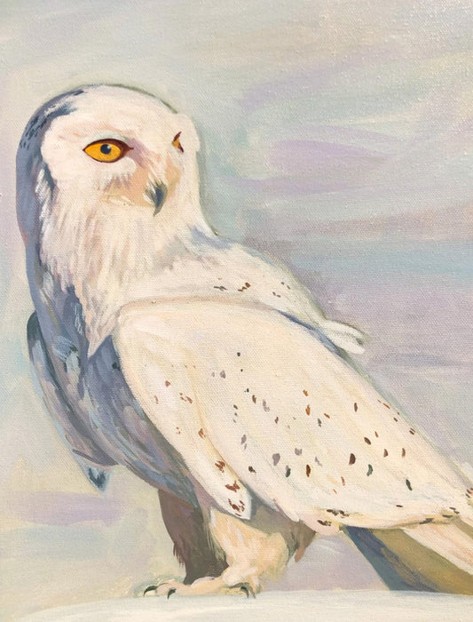 Snowy Owl - Andrea Tramutolo