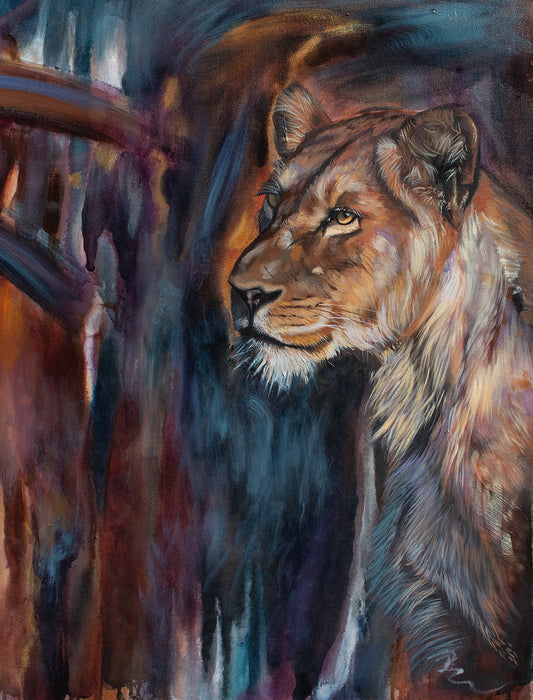 Lioness - Andrea Tramutolo